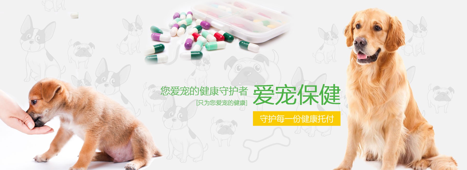 宠物用品轮播图1