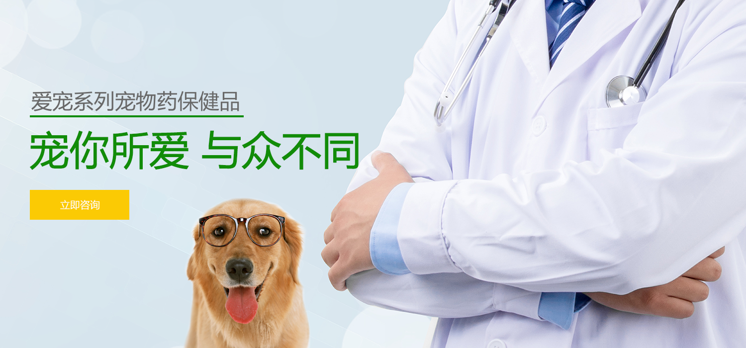 宠物用品轮播图2
