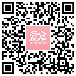 APP下载