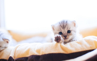 1561600923653265.png 3.png