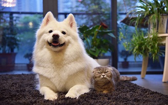 1562294096822251.jpg 2.jpg