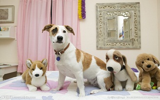 1563418136808997.jpg 2.jpg