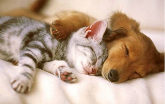 1563503605853148.jpg 2.jpg