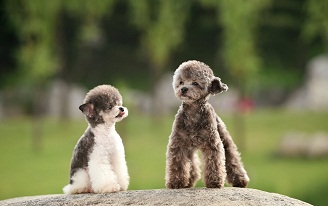 1565058540355571.jpg 2.jpg