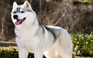 1568093909891317.jpg 2.jpg