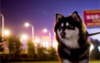 1570674322767730.jpg 1.jpg