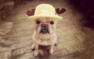 1571127938413105.jpg 3333333.jpg